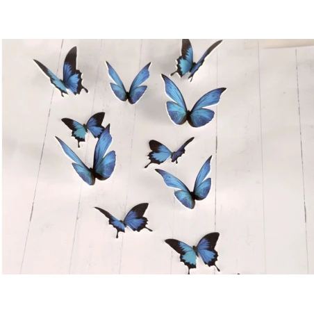 4 Feuilles De Plastique Fou / Plastique Dingue - Tranparent – Image 4