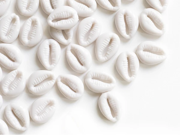 50 Perles Coquillages Cauri En Plastique - Blanc – Image 2