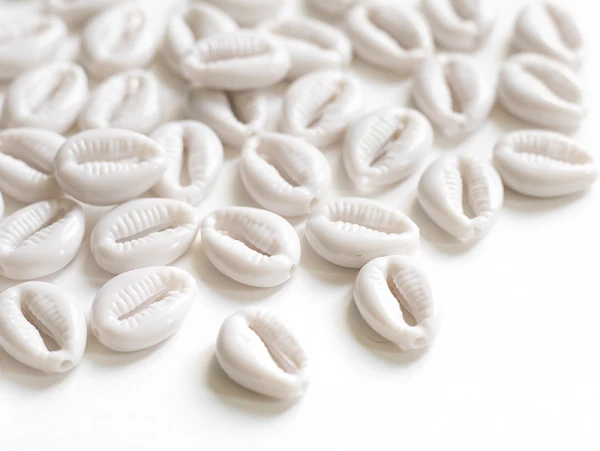 50 Perles Coquillages Cauri En Plastique - Blanc – Image 4