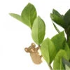 Bijou Pour Plantes - Koala