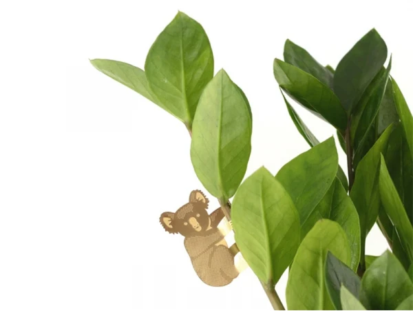 Bijou Pour Plantes - Koala