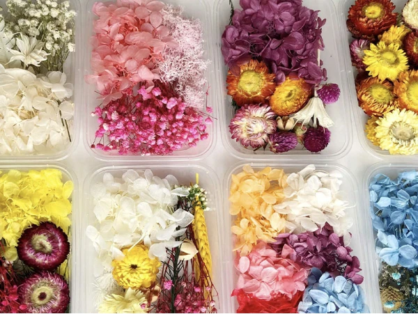 Boite De Fleurs Séchées Mélangées - Coloris Blanc – Image 3