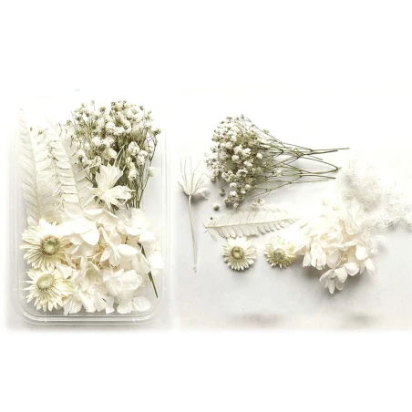 Boite De Fleurs Séchées Mélangées - Coloris Blanc – Image 5