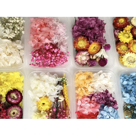 Boite De Fleurs Séchées Mélangées - Coloris Blanc – Image 6