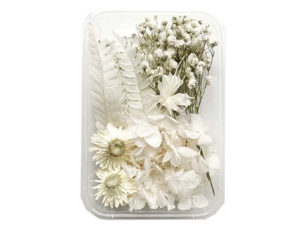 Boite De Fleurs Séchées Mélangées - Coloris Blanc
