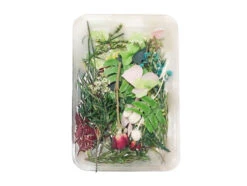 Boite De Mélange De Fleurs Séchées - Coloris Vert