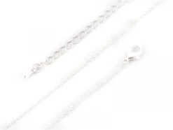 Collier 44,5 Cm Chaîne Forçat - Plaqué Platine