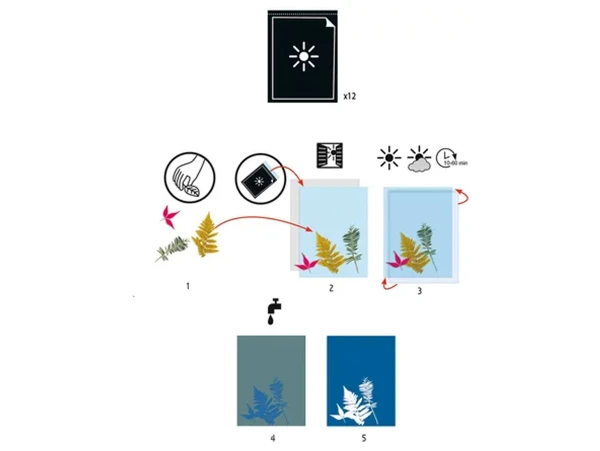 Cyanotype 12 Papiers Créatifs - Djeco – Image 3