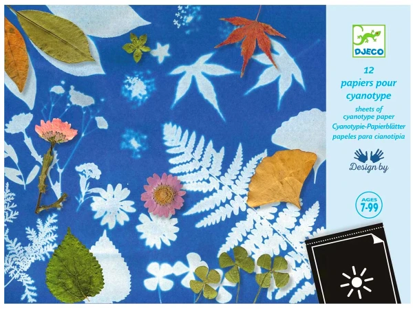 Cyanotype 12 Papiers Créatifs - Djeco