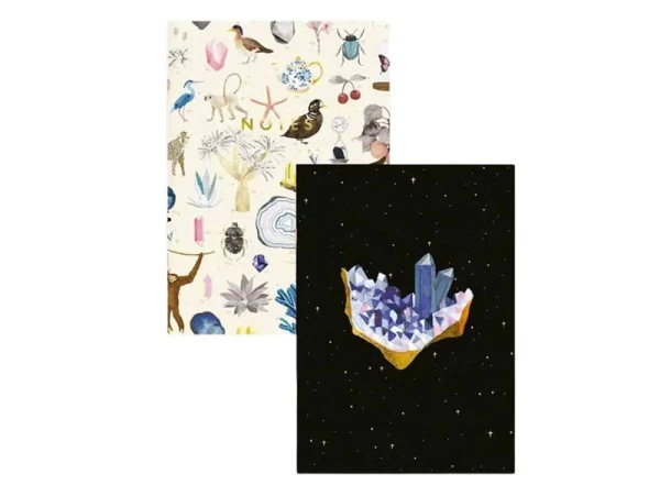 Duo De Carnets A6 Curiosity - ATWS