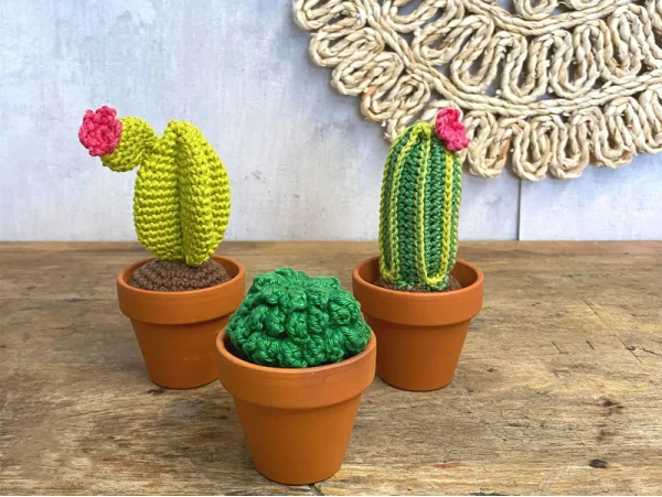 Kit Crochet - Cactus – Image 2