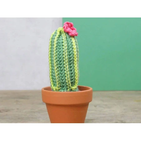 Kit Crochet - Cactus – Image 11