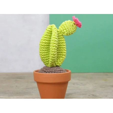 Kit Crochet - Cactus – Image 12