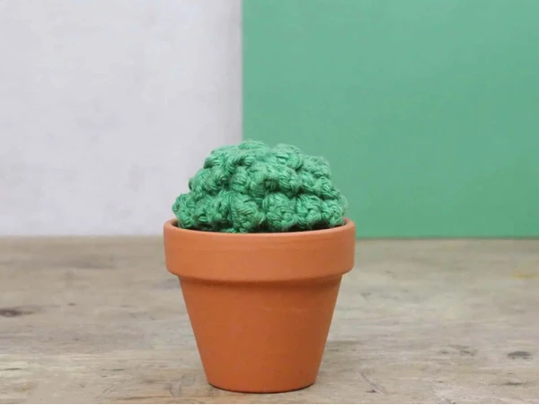 Kit Crochet - Cactus – Image 4