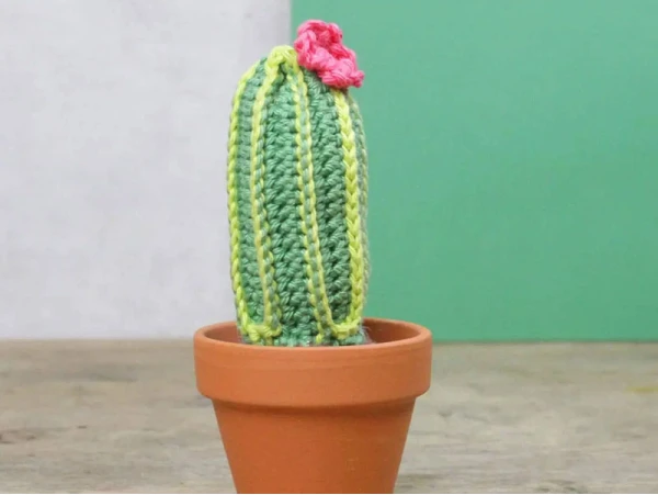 Kit Crochet - Cactus – Image 5