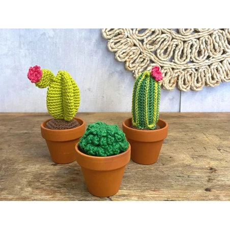 Kit Crochet - Cactus – Image 8