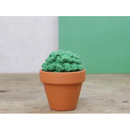 Kit Crochet - Cactus – Image 10