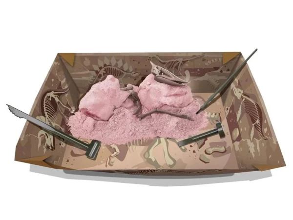 4M Kit DAM - Déterre Ton Dinosaure - Pteranodon – Image 2