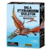 4M Kit DAM - Déterre Ton Dinosaure - Pteranodon