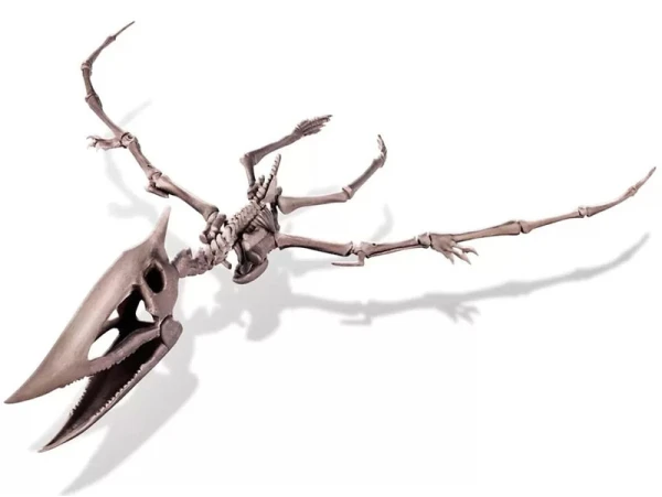4M Kit DAM - Déterre Ton Dinosaure - Pteranodon – Image 3