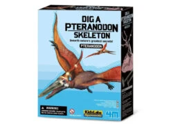4M Kit DAM - Déterre Ton Dinosaure - Pteranodon