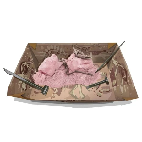 4M Kit DAM - Déterre Ton Dinosaure - Pteranodon – Image 5