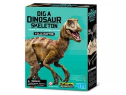 4M Kit DAM - Deterre Ton Dinosaure - Vélociraptor