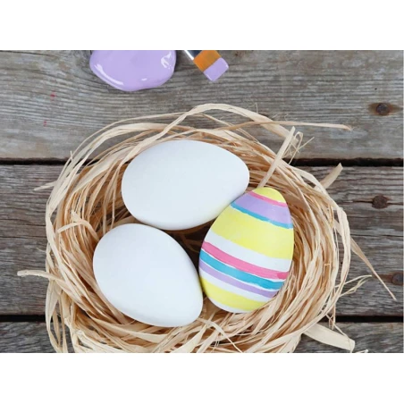 Plateau De 12 Oeufs En Plastique 6 Cm - Blanc – Image 11