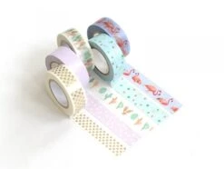 Set De 5 Masking Tapes - Cactus / Flamant Rose
